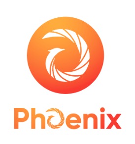 Phoenix Networking